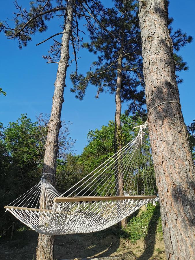 Active Chillax Oasis Apartments Ankaran Buitenkant foto